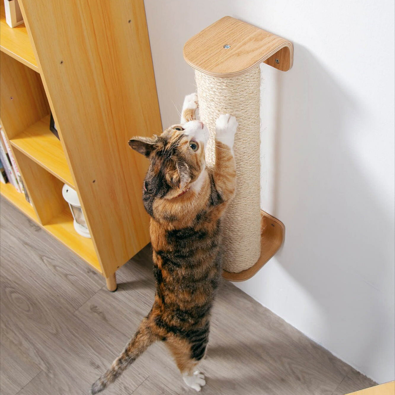 マイズーのポールタイプの猫の爪とぎ｜壁付けタイプで省スペースなのでおすすめ［MYZOO〈マイズー〉CYLINDER 爪とぎポール］猫爪研ぎ サラサデザインストアsarasa design store ＃SL_PTのサムネイル