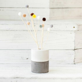set-ar005-f