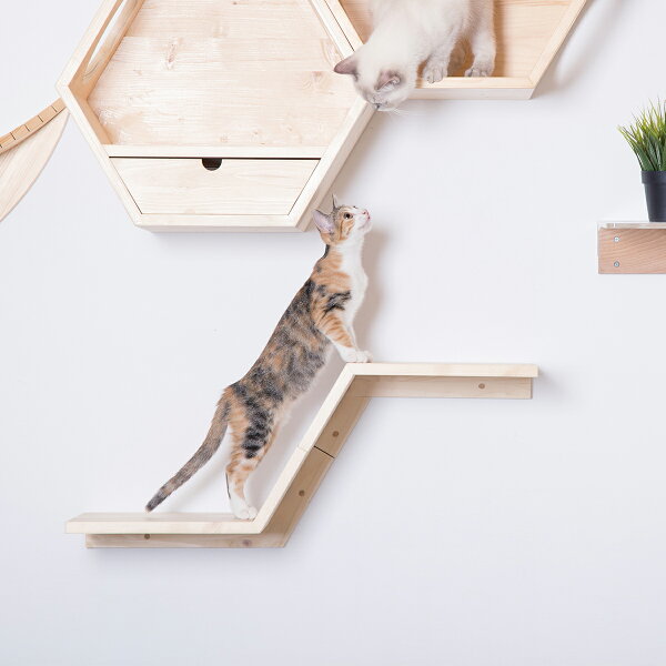 my zoo 猫 キャットタワー 木製 壁 猫家具 キャットウォーク キャット ステップ ねこ ネコ かわいい おしゃれ [〈MYZOO マイ