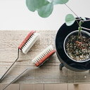 観葉植物のお手入れ・お掃除に [〈Redecker レデッカ