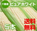 【送料無料】【北海道 十勝新得産・萌和農場】[白いとうもろこ...
