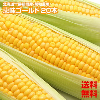 品　名 恵味ゴールド 数　量 20本（2Lサイズ） 原材地 北海道十勝新得産（萌和農場） 保存方法 当日中に食べない場合は、 ゆでて十分冷ましてから冷凍保存してください。 同　梱 同時発送の場合可能同梱可【常温】 同梱可【冷蔵】 包　装 とうもろこしは包装できません お届け予定日 商品の発送は、令和8年8月中旬〜令和8年9月上旬頃を予定しています 配達日指定 指定不可 配送方法 冷蔵便 →とうもろこしトップページへ←北海道 十勝産の朝もぎのとうもろこしです。 黄色い身のとうもろこし「恵味（めぐみ）ゴールド」 甘くて粒がやわらかいので、おじいちゃん、おばあちゃんから子供までおいしくいただけます！　