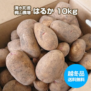 【送料無料】【越冬】【熟成】【じゃがいも】【北海道 十勝清水産・梶山農場】[はるか 10kg] 2L〜M混合 越冬じゃがいも 低温熟成 バタじゃが ポテトサラダ フライドポテト