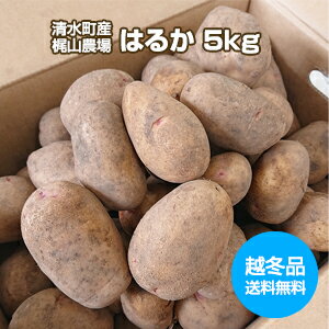 楽天市場】じゃがいも 5kgの通販 楽天市場】じゃがいも 5kgの通販