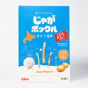 【北海道限定】カルビー じゃがポックル ほたて塩味 (17g×10袋)お土産 北海道 お菓子 人気