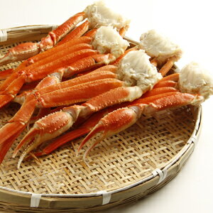 【送料無料】ズワイガニ ずわいがに 足 ボイル 約2kg（約5肩入）