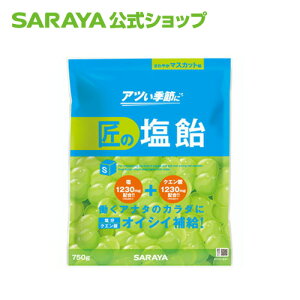 【季節限定】サラヤ 匠の塩飴 マスカット味 750g 夏 塩分 糖分 水分 補給 サラヤ公式ショップ