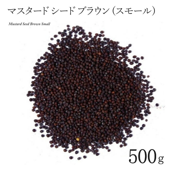 マスタード シード ブラウン (スモール) 500g MUSTARD SEED BROWN small インド料理 スパイス 業務用 香辛料 ホール 粒【サルタージ】【SARTAJ】【メール便3個までOK】