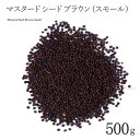 マスタード シード ブラウン (スモール) 500g MUSTARD SEED BROWN small インド料理 スパイス 業務用 香辛料 ホール 粒