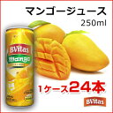 マンゴージュース フルーツ 缶ジュース インド レストラン Mango Juice BVITAS【1ケース24本 (1本250ml) 】