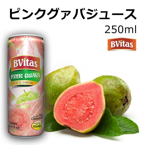 ピンクグァバジュース 250ml フルーツ 缶ジュース インド レストラン 飲料 Bvitas ビビタス ネクター pink guava juice