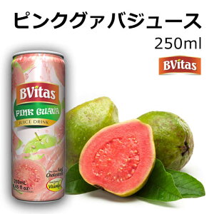 ピンクグァバジュース 250ml フルーツ 缶ジュース インド レストラン 飲料 Bvitas ビビタス ネクター pink guava juice