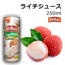 ライチジュース 250ml Lychee Juice BVITAS インド フルーツ 缶ジュース 