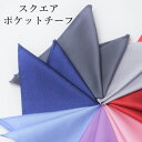 シルキー素材 挿すだけで華やかに 75Dマイクロポリエステル製ポケットチーフ メンズ [無地/紳士用/男性用/フォーマル/ブランド/おしゃれ/パーティー/冠婚葬...