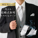 ネクタイ&チーフセット 紳士 メンズ 男性 結婚式セット ネクタイ チーフ 披露宴 二次会 フォーマル 白 パステル ラメ ストライプ 洗える ウォッシャブル ...