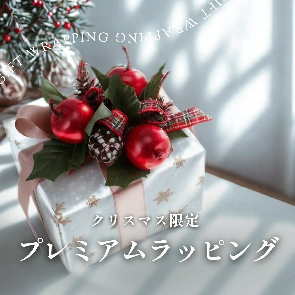 【単品購入不可】 Xmas専用! プレミアム ● ギフトラッピングサービス ● クリスマス 特別包装 ギフトラッピングサービス プレゼント クリスマスギフト C...