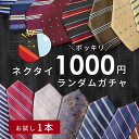 【スーパーSALE 最大半額 クーポン】\ネクタイ おまかせガチャ/ メール便送料無料 お試し価格 ネクタイ1本 メンズ 返品不可 洗える ビジネス おしゃれ ...