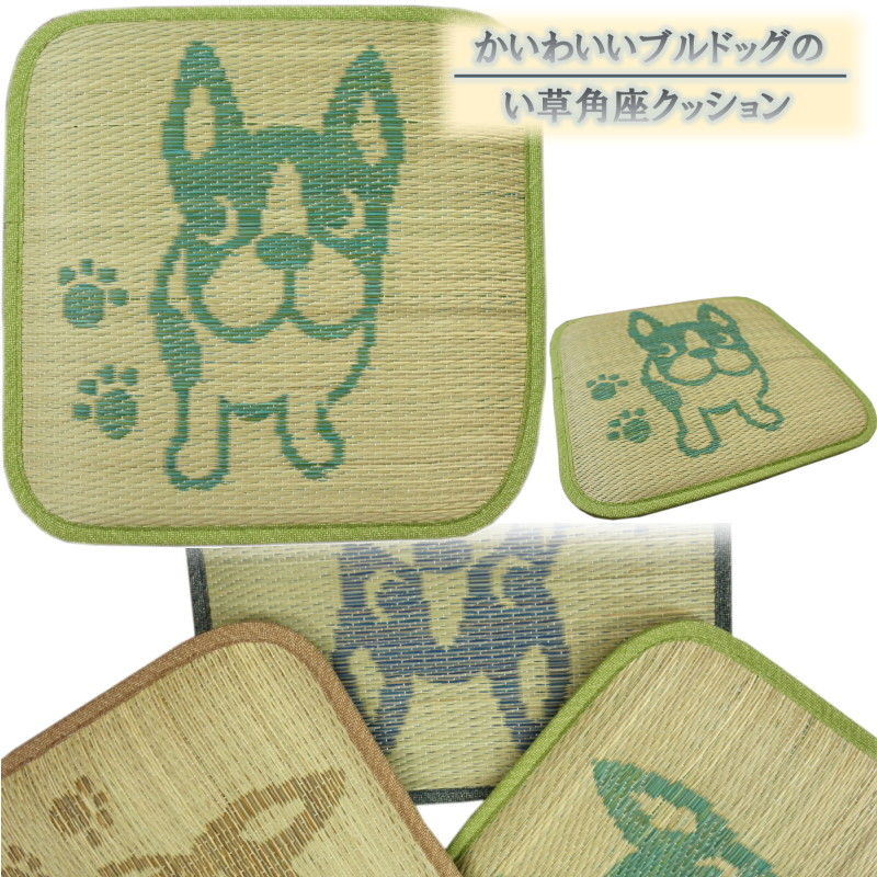 40x40cm い草角座クッション「ブルドッグ」グリーン色 1枚単品【夏用クッション】