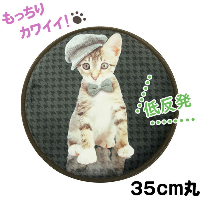 チェアパッド円座　35cm丸　キャット　ブラウン　【裏面ノンスリップ加工】