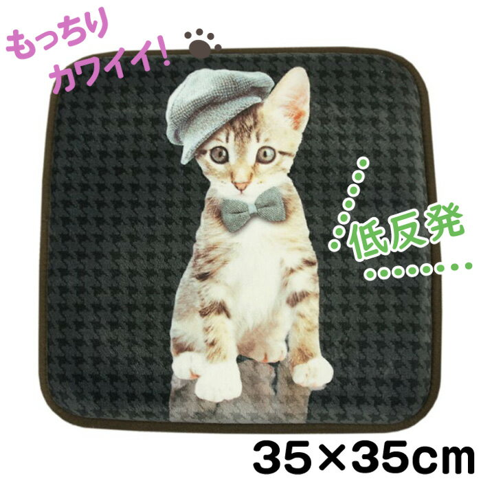 チェアパッド角座　35x35cm　キャット　ブラウン　【裏面ノンスリップ加工】