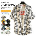 アロハシャツ メンズ 大きいサイズ 半袖 シャツ メンズ プリント サマーシャツ 総柄 花柄シャツ カジュアルシャツ 男性シャツ 夏服 夏物 ハワイ風シャツ ビーチシャツ アロハシャツ パイナップル xxl 3xl 4xl 5xl 前ボタン ハワイ/沖縄/グアム旅行 リゾート 海辺 サーフ系