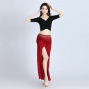 ダンス衣装 ベリーダンス セットアップ レディース レッスン着 ショート丈 トップス スカート 練習着 2点セット 社交ダンス ベリーダンス衣装 ステージ衣装 ...