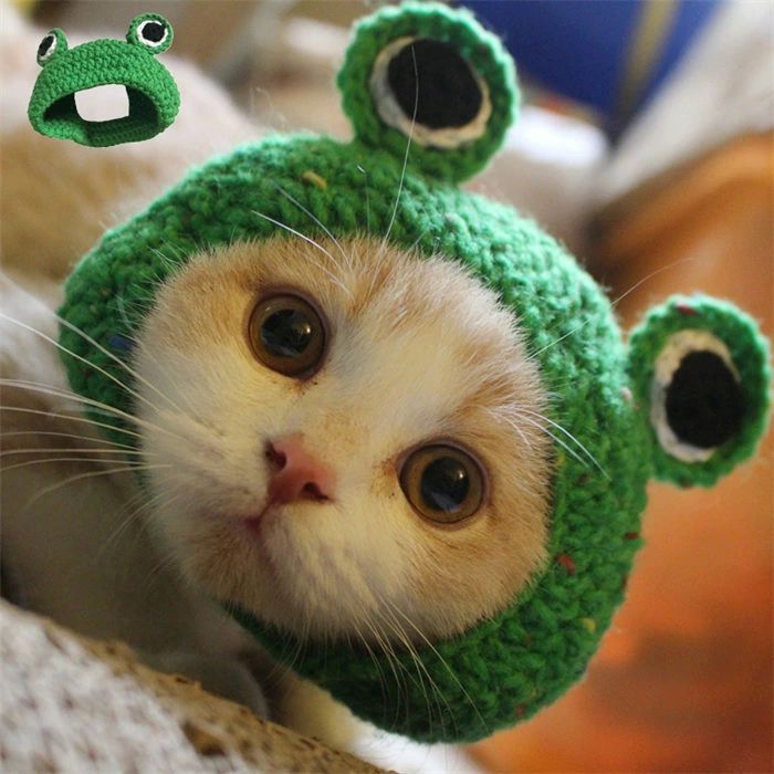 帽子 猫用 犬用 ペットキャップ ペット帽子 ニット帽 蛙の形 春 秋 冬 ニットキャップ 猫の帽子 犬の帽..