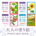 サクラ【大人の塗り絵】 お手本付き 春の花 夏の花 果実の実 なつかしの風景 贈り物 敬老の日 塗りやすい 指先 色選び プレゼント みんなで一緒に 一人 趣味...