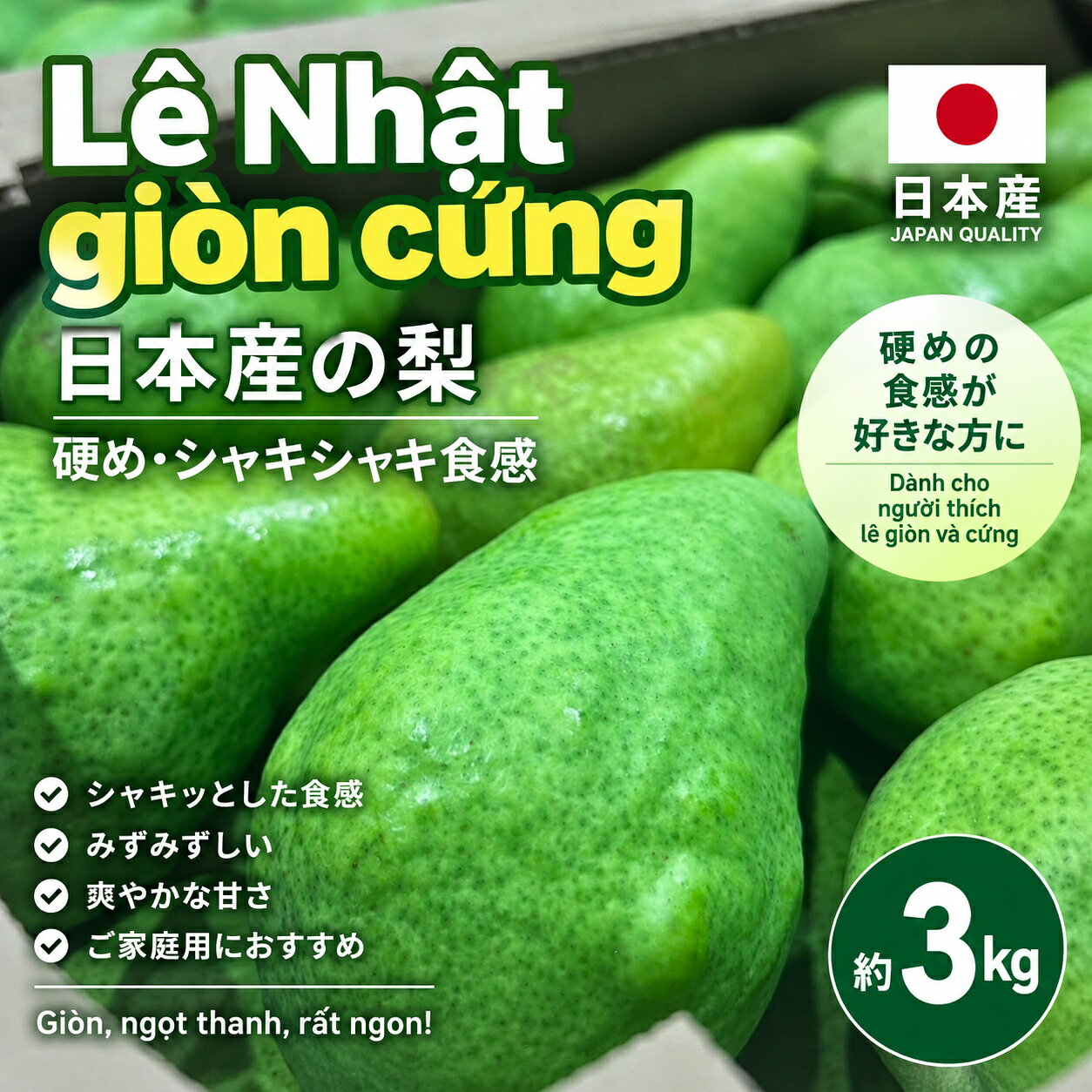 【硬めの梨】日本産 梨 約3kg シャキシャキ食感 硬め・完熟前 ベトナム人に人気の食感 国産 和梨 なし ナシ 果物 フルーツ 家庭用 sasahiro-10000005 ササヒロEC事業部 パッケージ画像
