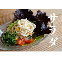 お魚で作ったヘルシー麺!お魚麺5食ヘルシーダイエット糖質オフカロリーオフラーメンパスタうどんダイエット食品