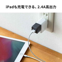 単品iPhoneバックアップQubiiProiPhoneカードリーダーmicroSDiPad充電自動バックアップ簡単接続USB3.1Gen1動画写真データ保存台湾製