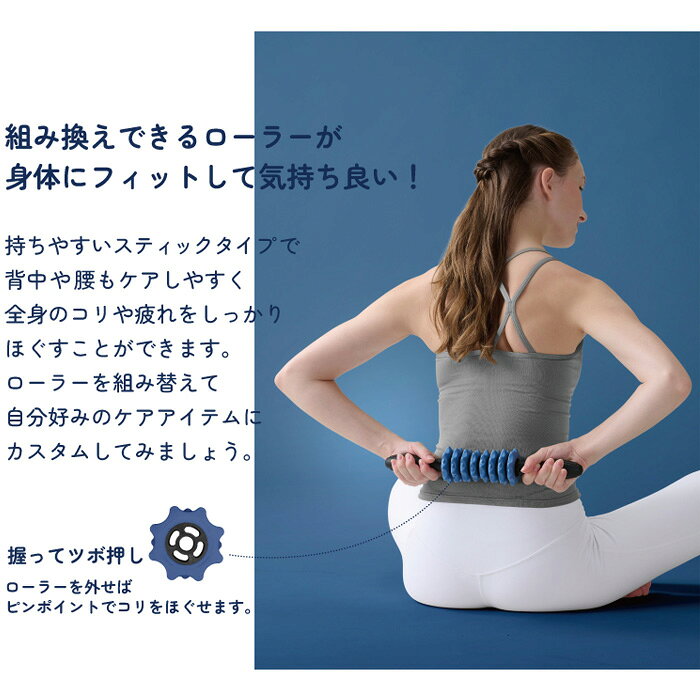 【マラソン期間中P5倍】アルインコ カスタムスティック WBF216 ネイビー ブラウン ...