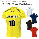 【チームオーダー】 ジュニア バレーシャツ ユニフォーム 練習着 P1610 バレー 背番号 メンズ
