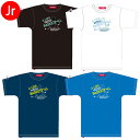 【マラソン期間中P5倍】【メール便可】PEANUTS 半袖 ベーシック Tシャツ PNU-1603 スヌーピー バスケットボール ウェア プラクティスシャツ プ...