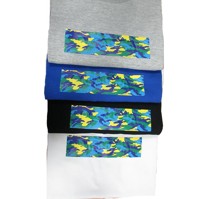 【マラソン期間中P5倍】【メール便可】PASADENA ショートスリーブTシャツ 202PADN-...