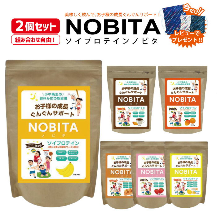 【2個セット】 NOBITA ソイプロテイン ジュニア プロテイン FD-0002 ノビタ Spazio スパッツィオ キッズ 小中高生 600g 成長 サポート 身長 伸ばす 運動 サプリメント 栄養 SPAZIO 部活動 サッカー バレー バスケット 野球 おいしい 飲みやすい