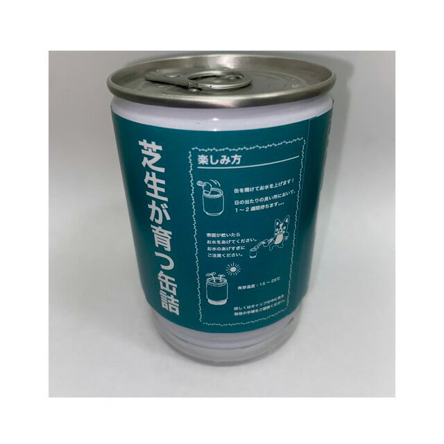 【SS期間中P5倍】サッカージャンキー 芝生缶 サントリーニのw SJ21477