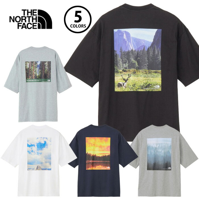 楽天ササクラスポーツ楽天市場支店【SS期間中全商品P5倍】【メール便可】ザ・ノース・フェイス 2025年春夏 ショートスリーブ ヨセミテ シナーリー Tシャツ ユニセックス NT32436 半袖 トップス ウェア バックプリント