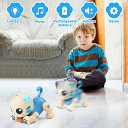 ロボット子猫 ペットロボット 猫 ロボット おもちゃ 猫型ロボット 誕生日プレゼント 子供 おもちゃ 3歳 4歳 5歳 6歳 7歳 女の子 誕生日プレゼント 小...