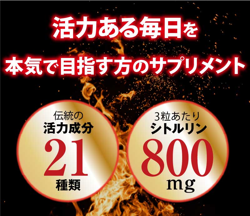 アウトレット50％OFF！！《60粒×1袋》凄神 マカ すっぽん シトルリン アルギニン 亜鉛 配合 活力 自信 サプリ サプリメント トンカットアリ 送料無料 笹岡 sasaoka-tsuhan-10000174 笹岡通販 サンプル画像3