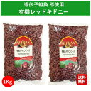 ソルレオーネ そのまま使える 白いんげん豆 テトラパック 紙パック インゲン豆 380g×16箱【送料無料※一部地域は除く】