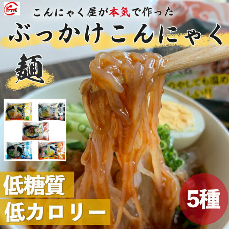 カタオカ こんにゃく麺 5食 5種類×1 簡単 冷麺 ダイエット食品 こんにゃくラーメン 置き換えダイエット ダイエットフード 低糖質 こん..