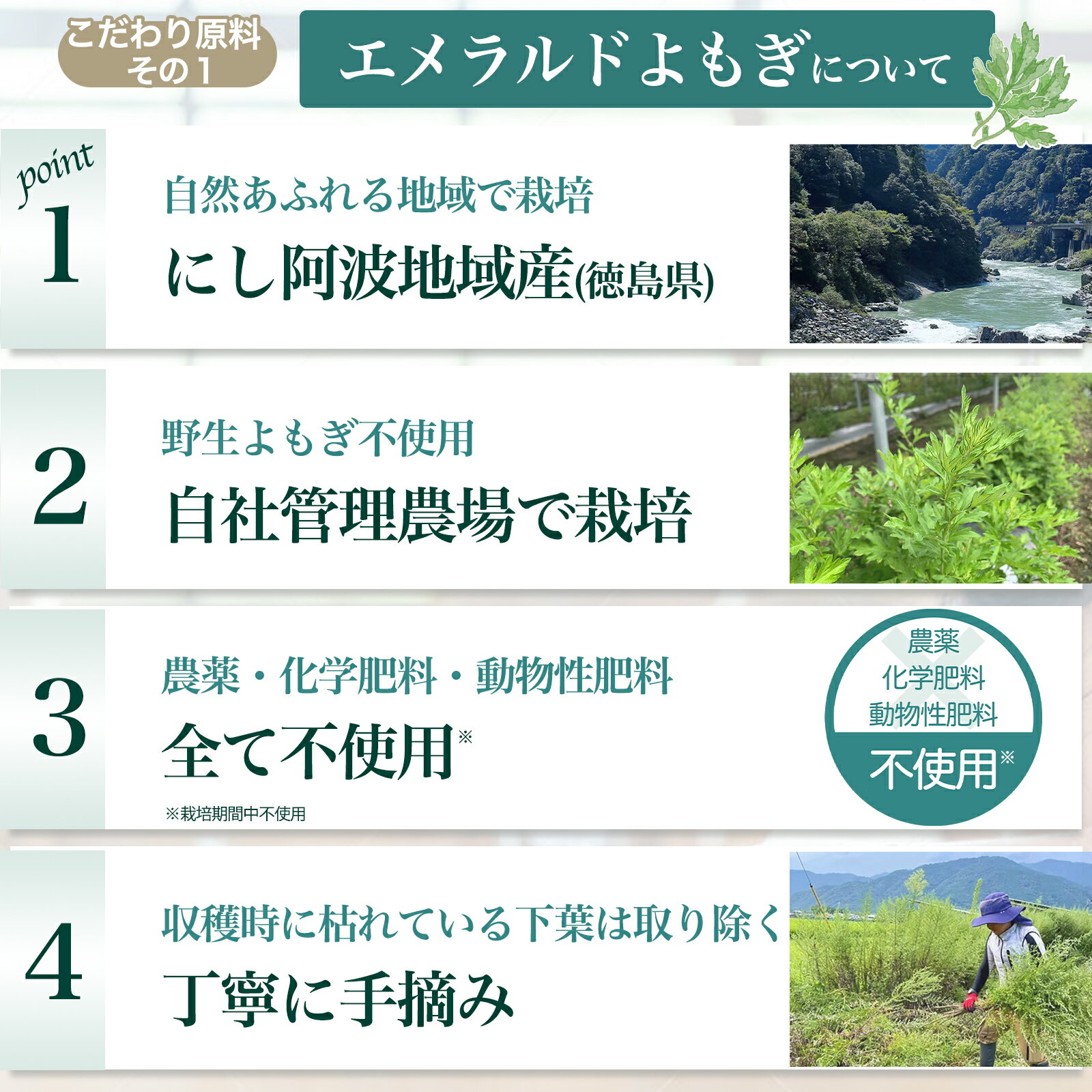 よもぎとゆずのお風呂 25g×5包入 ゆず湯 よもぎ風呂 よもぎ湯 よもぎのお風呂 ゆず 入浴剤 エメラルドよもぎ 木頭ゆず よもぎ 入浴剤 国産 無農薬 徳島県産 ヨモギ風呂 薬草風呂 薬草湯 ギフト プレゼント 1袋 2袋 3袋 5袋 ヨモギ 女性 冷え性 疲労回復 温まる 温泉