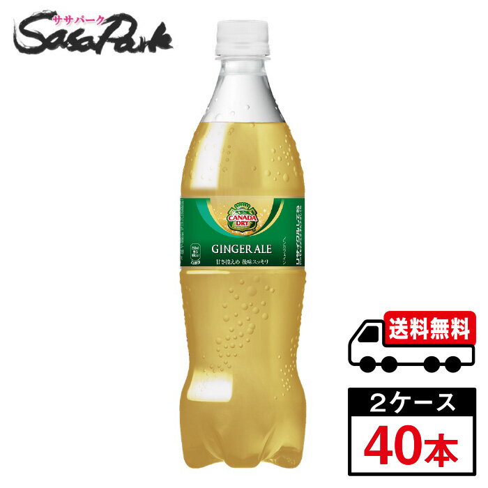 コカ・コーラ カナダドライ ジンジャーエール PET 700ml×20本×2箱