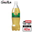 【メーカー直送】【送料無料】コカ・コーラ カナダドライ ジンジャーエール PET 700ml×20本×2箱【計40本】