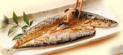 頭から骨まで食べられる焼き魚『まるごとくん』さんま 保存食 和食 惣菜 おかず 常温保存 備蓄用 丸ごと