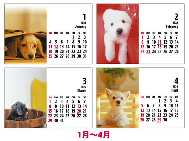 2026年(令和8年)版卓上カレンダー 『Wa...の紹介画像3