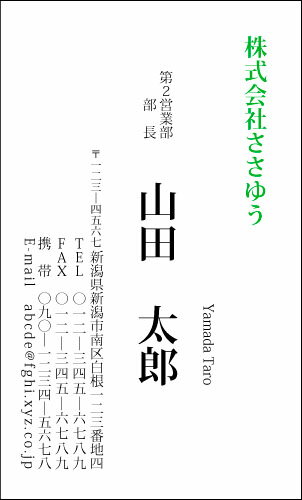 【デザイン名刺印刷】ベーシック名刺［B_002_av］選べる7色《カラー名刺片面100枚入ケース付》テンプレートを選んで簡単名刺作成シンプルなデザインでビジネスからプライベートまで幅広く使えるスタンダードな名刺です
