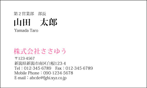 【デザイン名刺印刷】ベーシック名刺［B_017_av］選べる7色《カラー名刺片面100枚入ケース付》テンプレ..