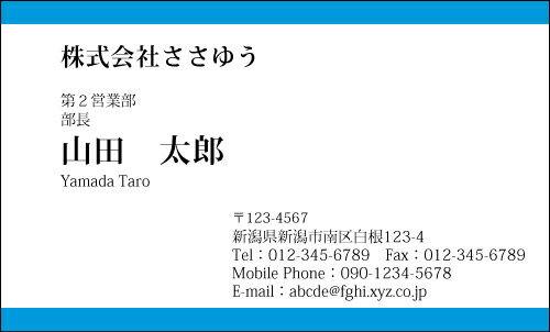 【デザイン名刺印刷】ベーシック名刺［B_023_sv］選べる7色《カラー名刺片面100枚入ケース付》テンプレートを選んで簡単名刺作成シンプルなデザインでビジネスからプライベートまで幅広く使えるスタンダードな名刺です